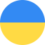 Language select icon